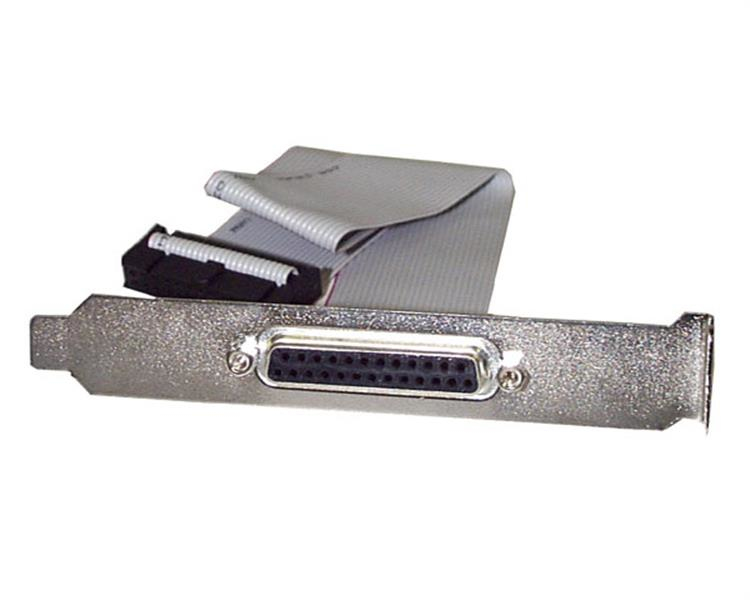 StarTech.com 40cm DB25 Parallel Buchse auf IDC 25 Pin Header Slotblech, DB-25, IDC, 0,4 m, Grau