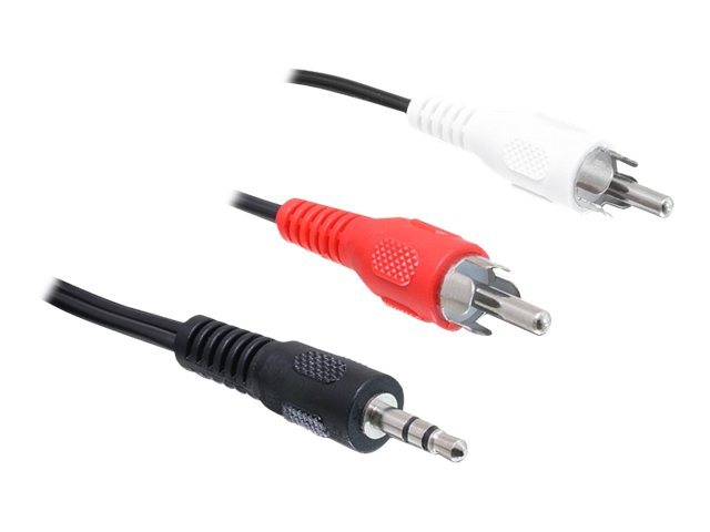 Delock Audiokabel - RCA x 2 männlich zu mini-phone stereo 3.5 mm männlich