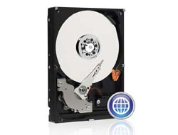 WD Blue WD10EZEX - Festplatte - 1 TB - intern - 3.5 (8.9 cm)
