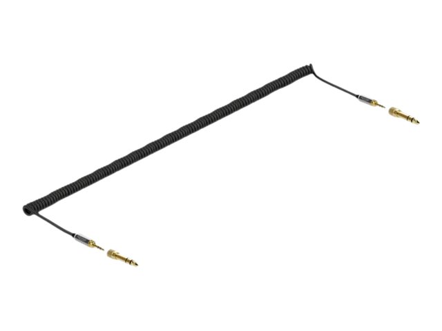 Delock Audio-Kabelkit - Schwarz - gewickelt