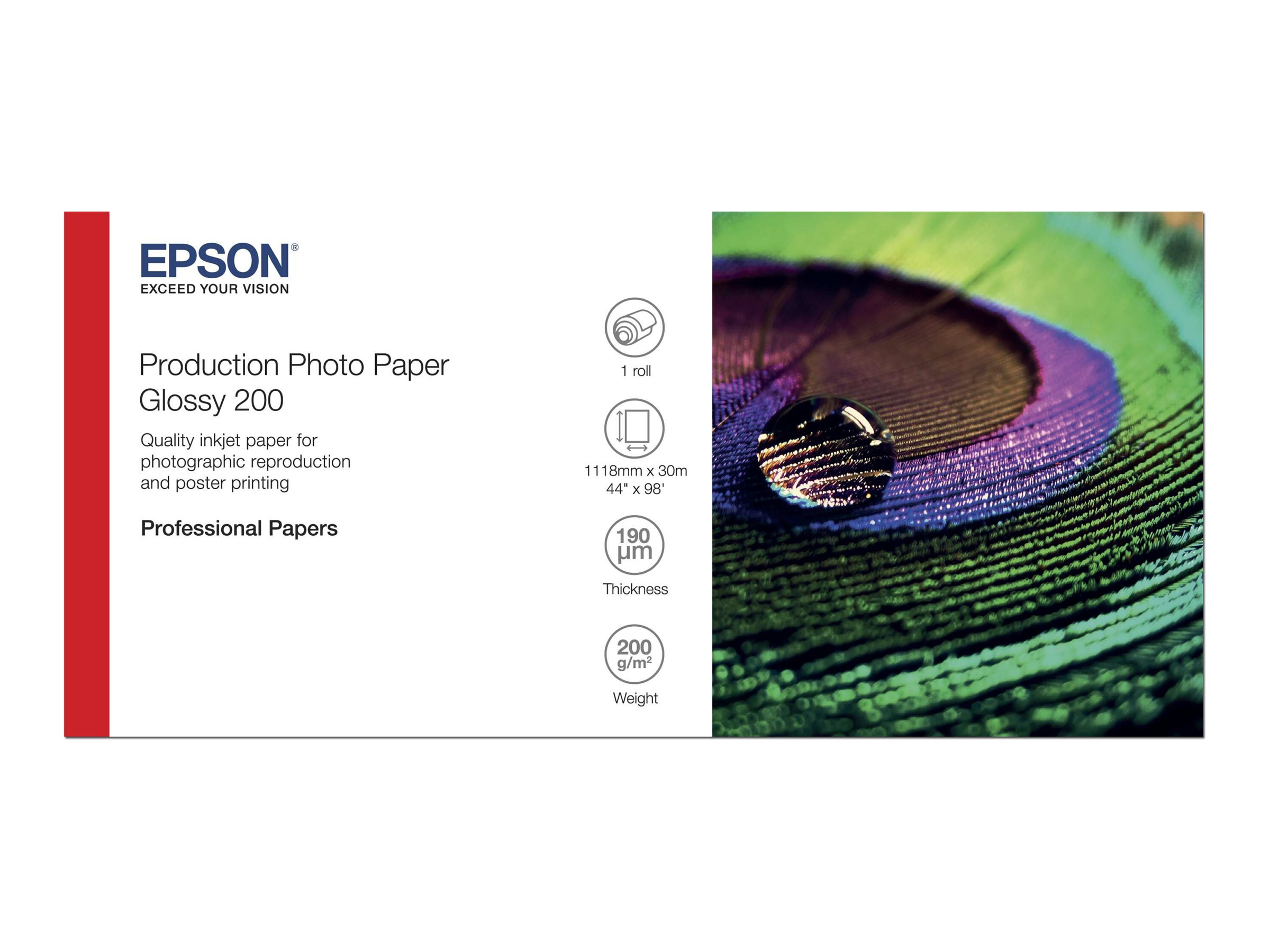 Epson Production - Polyethylen (PE) - glänzend - mikroporös - 200 Mikron - Rolle (111,8 cm x 30 m) - 200 g/m² - 1 Rolle(n) Fotopapier - für Stylus Pro 9890, SureColor P10000, P20000, SC-P10000, P20000, P8000, P9000, P9500, T7200