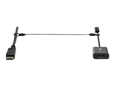 StarTech.com Sicherheitskabel - 20er Pack - Kabelschloss