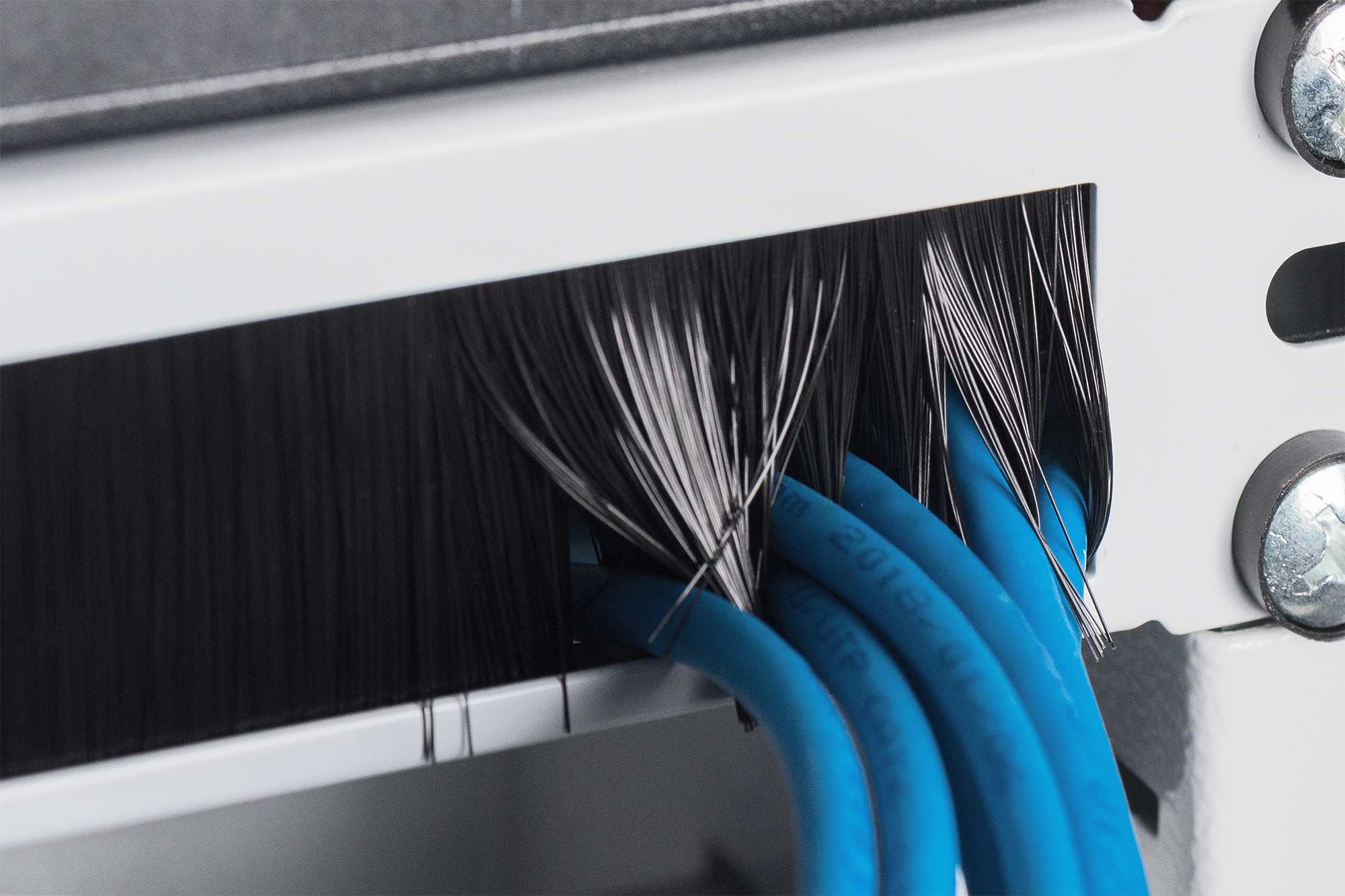 DIGITUS Kabelbürstenleiste für 483 mm (19)-Schränke, Ansicht 4