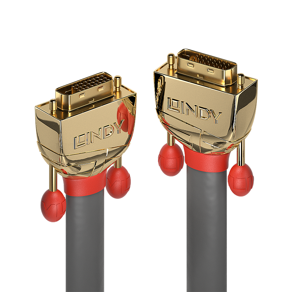 Lindy Gold - DVI-Kabel - Dual Link - DVI-D (M)