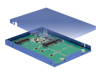 Delock Speichergehäuse - M.2 Card  mSATA - USB 3.1 (Gen 2)