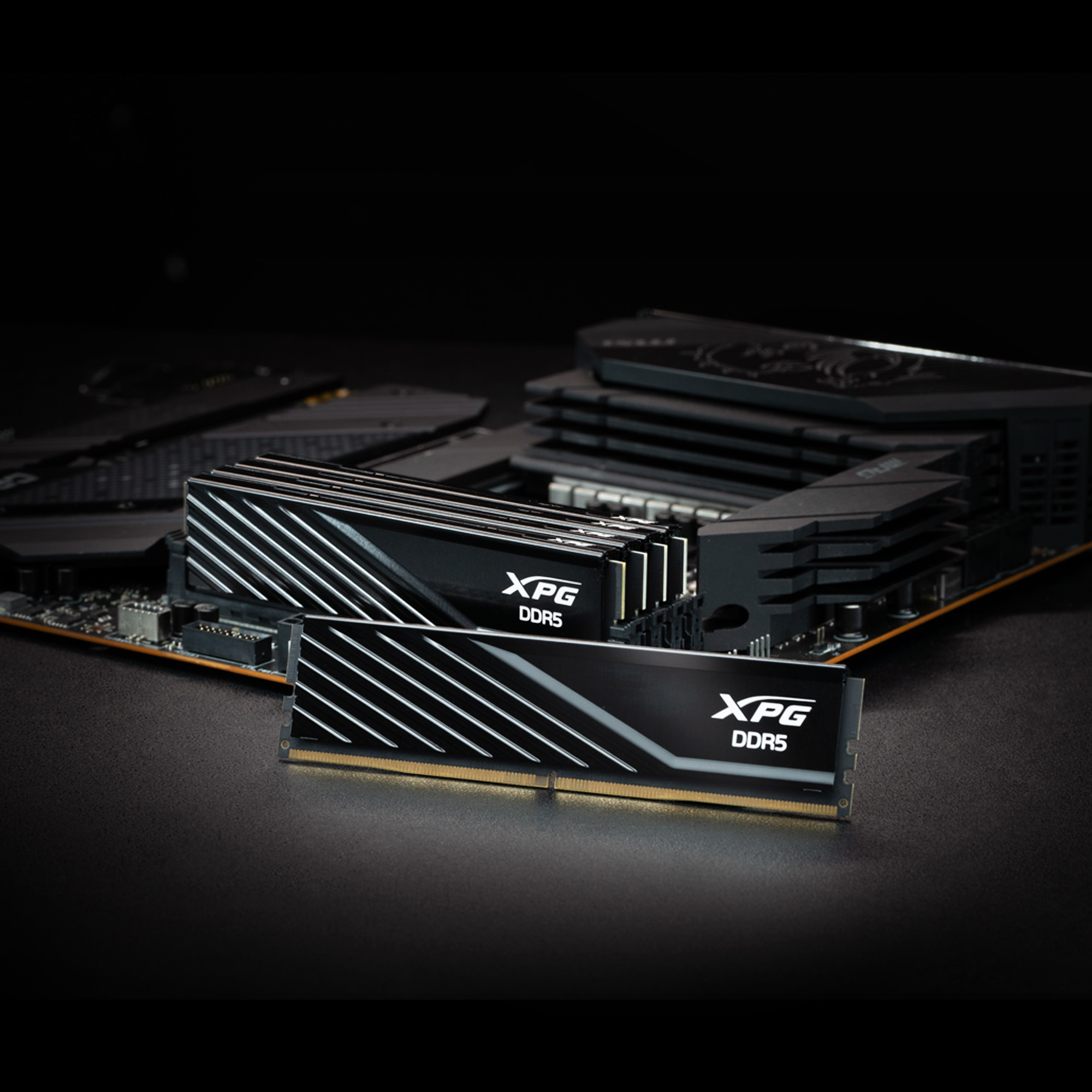ADATA DIMM DDR5-5600 Dual-Kit schwarz AX5U5600C4616G-DTLABBK XPG - 32 GB - DDR5 (AX5U5600C4616G-DTLABBK) - 32 GB - DDR5, Ansicht 3