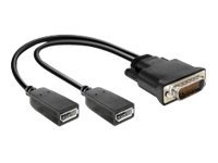Delock Display-Adapter - TDP-Anschluss, 20-polig (W)