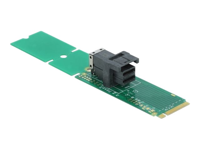 Delock Adapter M.2 Key M to SFF-8643 NVMe 22110