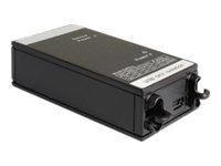 Delock USB-Isolationsadapter