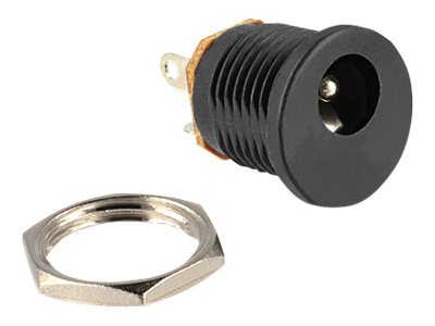 Delock Netzanschluss - Gleichstromstecker 55 x 21 mm (W)