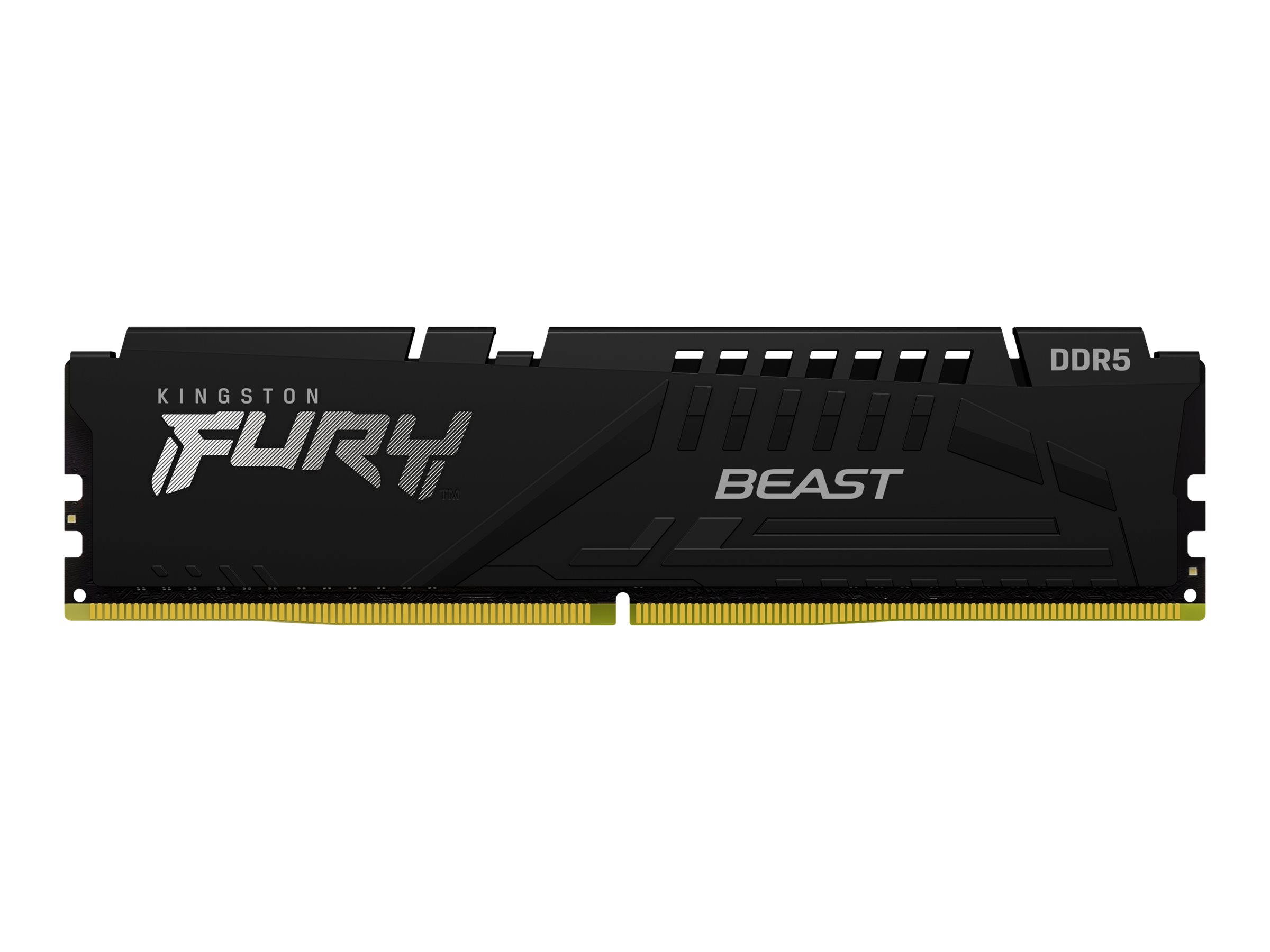 Kingston FURY Beast - DDR5 - Modul - 16 GB - DIMM 288-PIN - 6000 MHz / PC5-48000