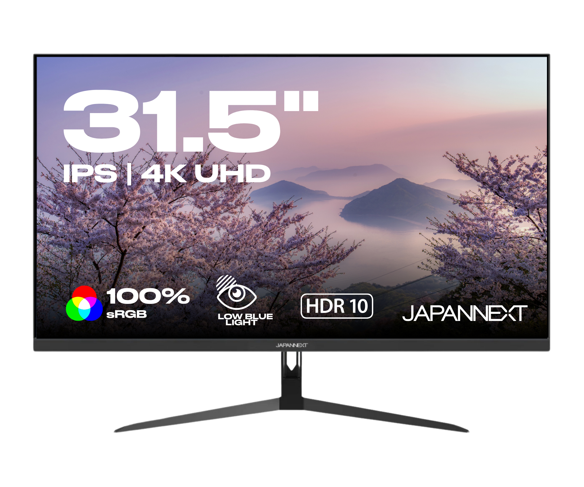 JAPANNEXT 80,0cm (31,5) JN-IPS315UHDR 16:9 HDMI/DP UHD - Flachbildschirm (TFT/LCD), Ansicht 3