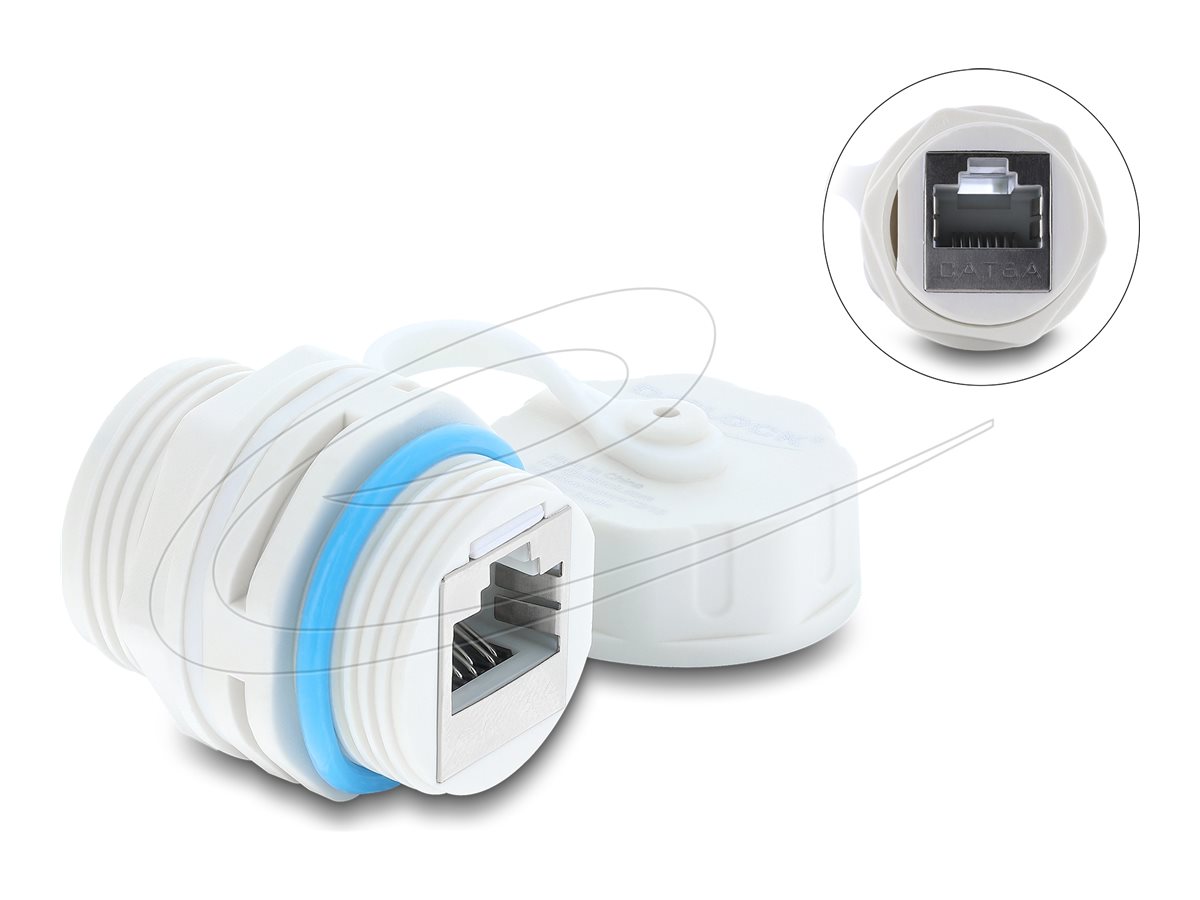 Delock Netzwerkkoppler - RJ-45 (W) zu RJ-45 (W)