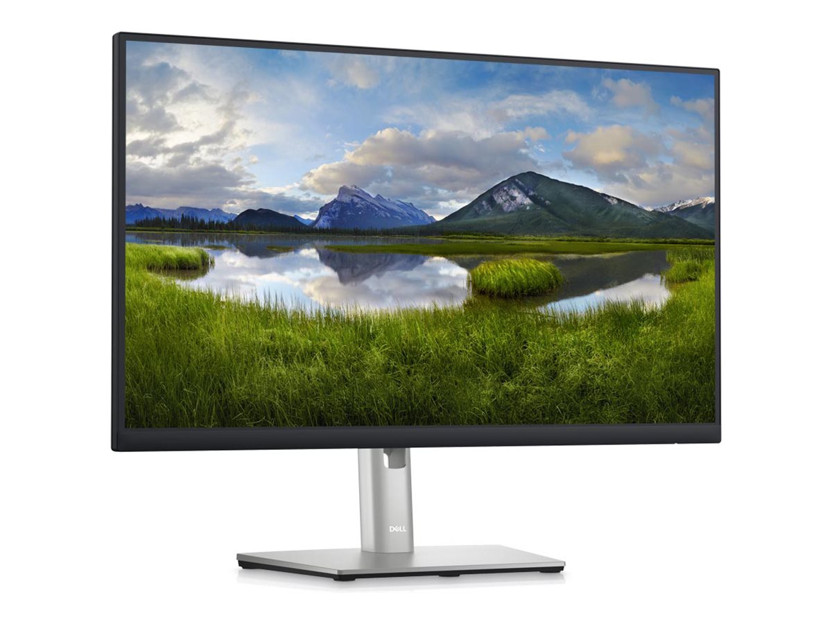 Dell P2423DE - LED-Monitor - 61 cm (24") - 2560