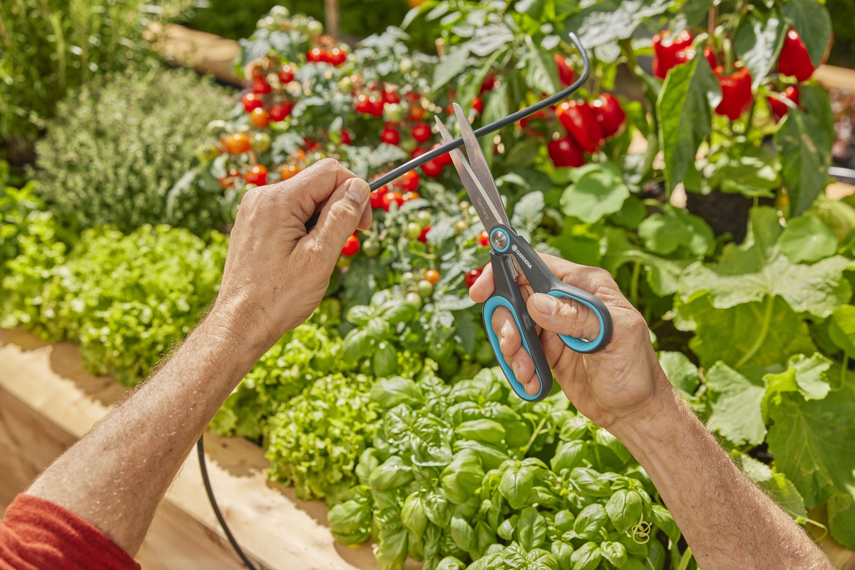 Gardena Solar-Bewässerung AquaBloom L Set, Ansicht 4