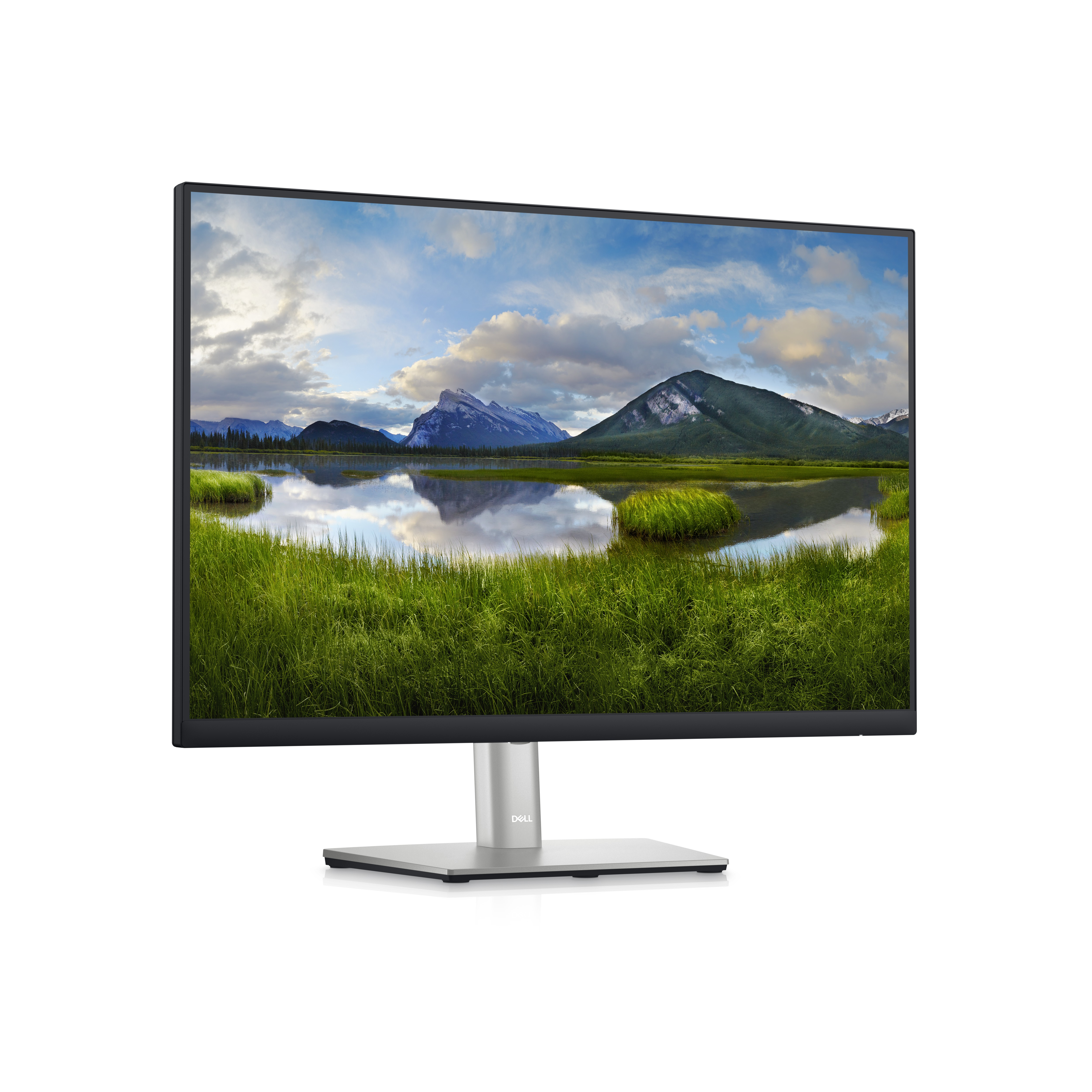 Dell P Series 60,96 cm (24&quot;) Monitor – P2423 - 61 cm (24 Zoll) - 1920 x 1200 Pixel - WUXGA - LCD - 5 ms - Schwarz