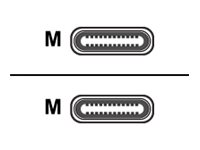 Digital Data Communications USB-Kabel - USB-C (M) bis USB-C (M)