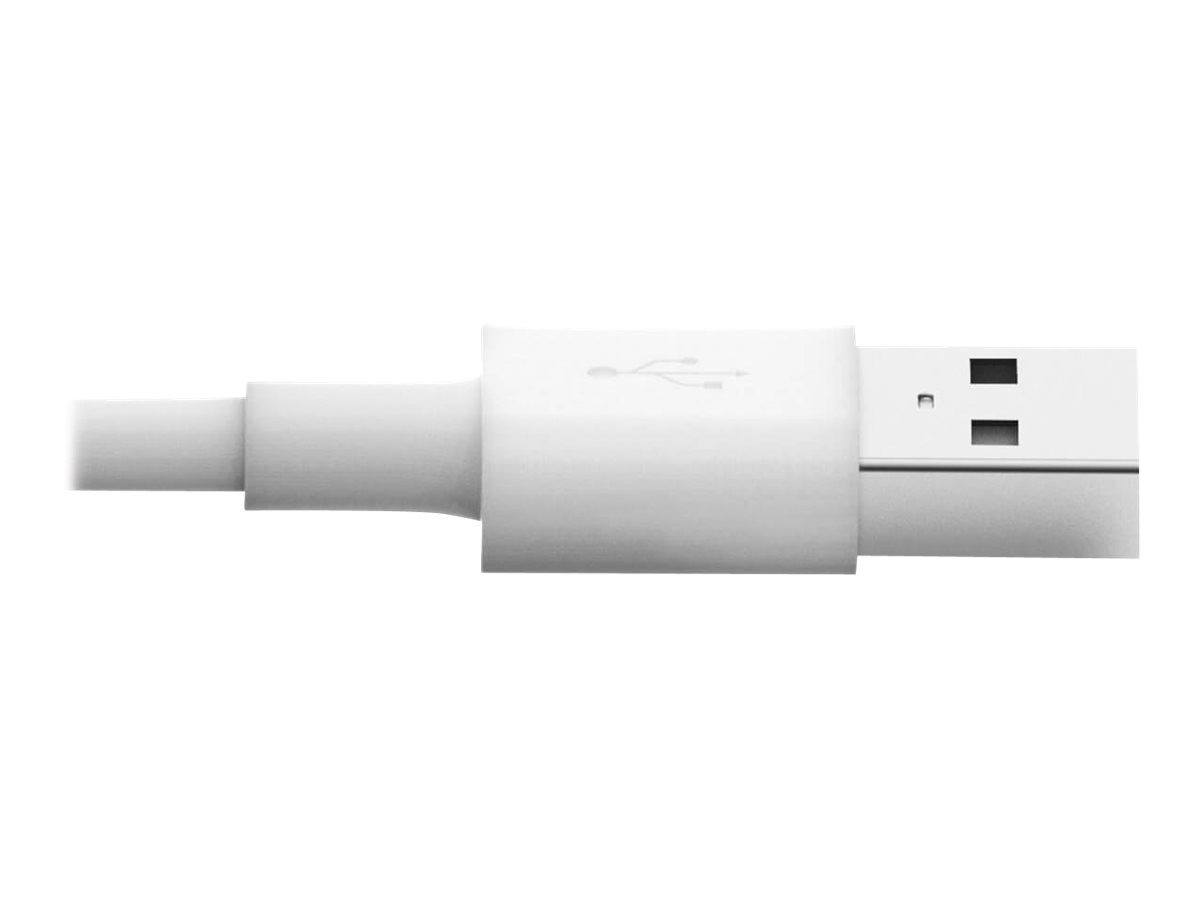 Eaton Tripp Lite M100-006-WH USB-A-zu-Lightning Sync/Ladekabel (Stecker/Stecker) – MFi-zertifiziert - weiß, Ansicht 5