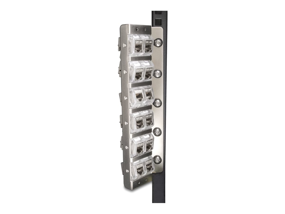 Delock Halter für modularen Einsatz (vertikal) - neigbar - Rack montierbar geeignet für Wandmontage - Silber - 25.4cm48.3cm (1019)