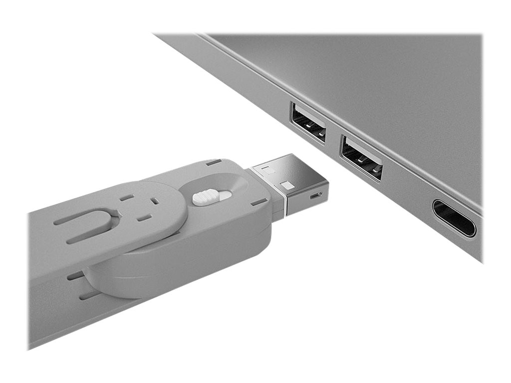 Lindy USB Type A Port Blocker Key - USB-Portblocker