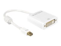 Delock Videoadapter - Single Link - Mini DisplayPort (M)