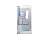 MSI MAG PANO M100R PZ - microATX Tower - Seitenteil mit Fenster (gehärtetes Glas)