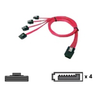 Chenbro SATA- / SAS-Kabel - 4-Lane - SATA zu 36 PIN 4iMini MultiLane