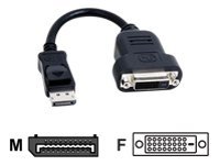 Matrox TripleHead2go upgrade - Display-Adapter - DisplayPort (M) zu DVI-D (W) - 20 cm - für Matrox M9128 LP, M9138, M9148, M9188; Graphics eXpansion Module DualHead2Go