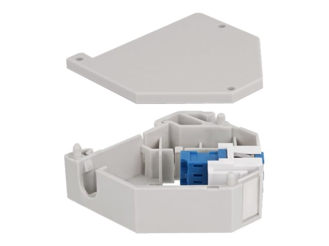 Delock Keystone Jack-DIN-Adapter für Schienenmontage