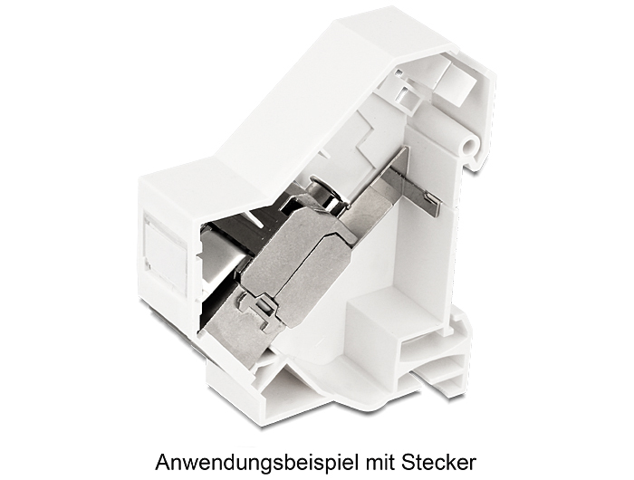 Delock Keystone Mounting for DIN rail shielded, Ansicht 2