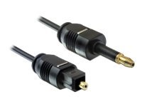 Delock Digitales Audio-Kabel (optisch) - TOSLINK männlich zu Mini-TOSLINK männlich