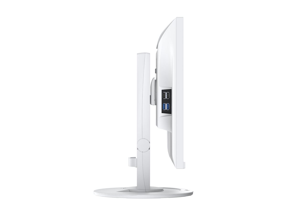 EIZO FlexScan EV2400R - Mit FlexStand - LED-Monitor - 60.5 cm (23.8")