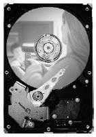 Seagate DB35 Series DB35 7200.3 250GB SATA 3Gb/s - 250 GB - 7200 RPM - 8 MB - 3.5" - Serial ATA II