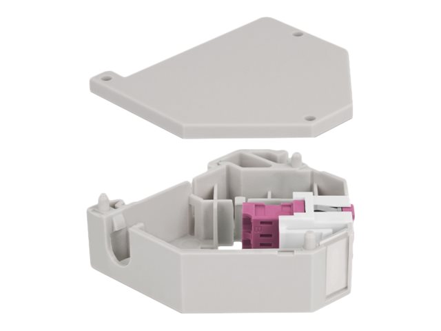 Delock Keystone Jack-DIN-Adapter für Schienenmontage