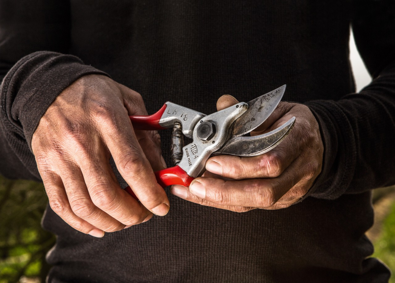FELCO 4 - Amboss - Aluminium - Rot - Stahl - Edelstahl - 21 cm, Ansicht 2