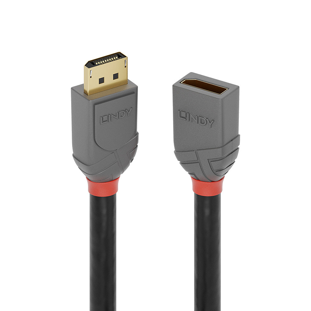 Lindy Anthra Line - DisplayPort-Verlängerungskabel - DisplayPort (M), Ansicht 2