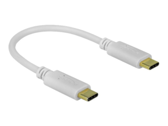 Delock Stromkabel - 24 pin USB-C (M) zu 24 pin USB-C (M)