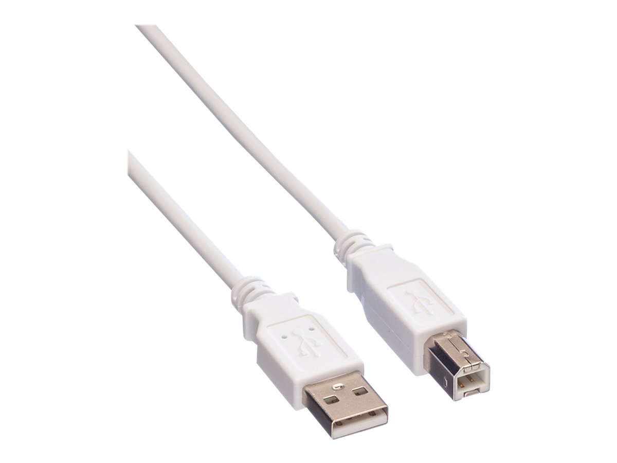 VALUE - USB-Kabel - USB (M) zu USB Typ B (M) - USB 2.0 - 1.8 m - weiß
