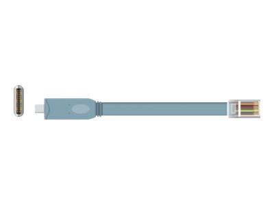 Delock Serieller Adapter - 24 pin USB-C (M)