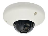 LevelOne FCS-3054 - Netzwerk-Überwachungskamera