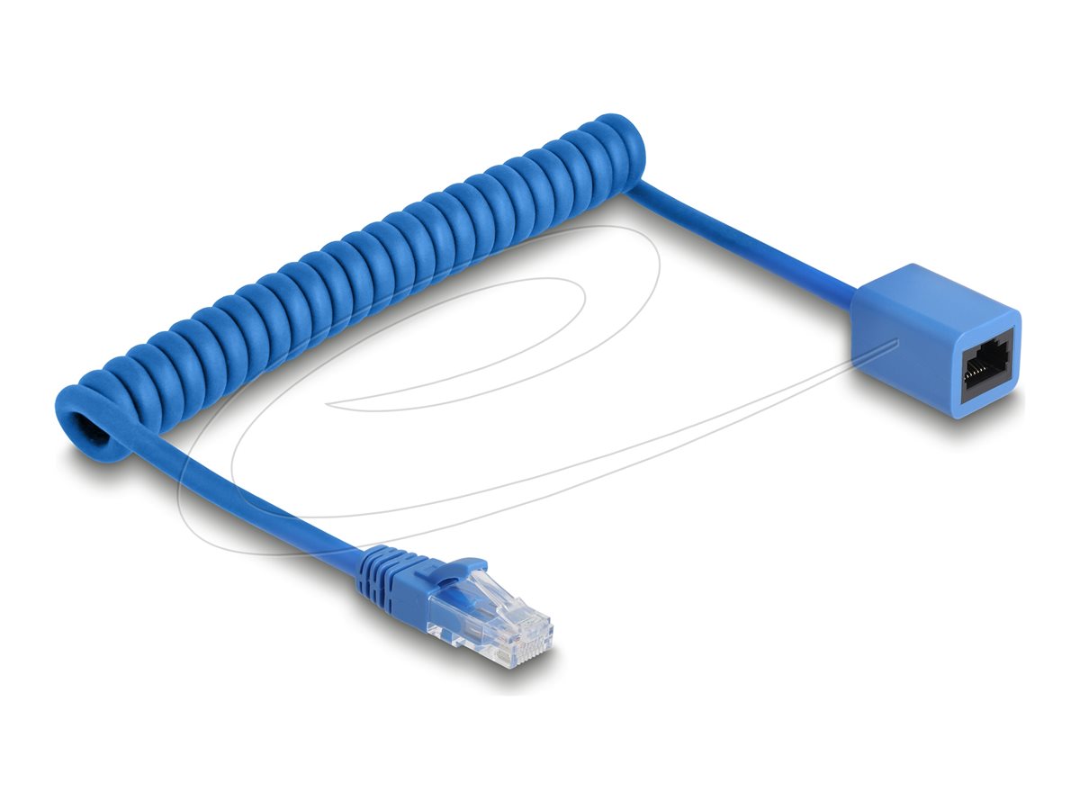 Delock Netzwerkverlängerungskabel - RJ-45 (M)