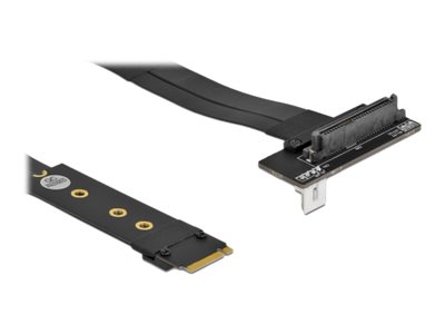 Delock Schnittstellenadapter - U.2 NVMe - M.2