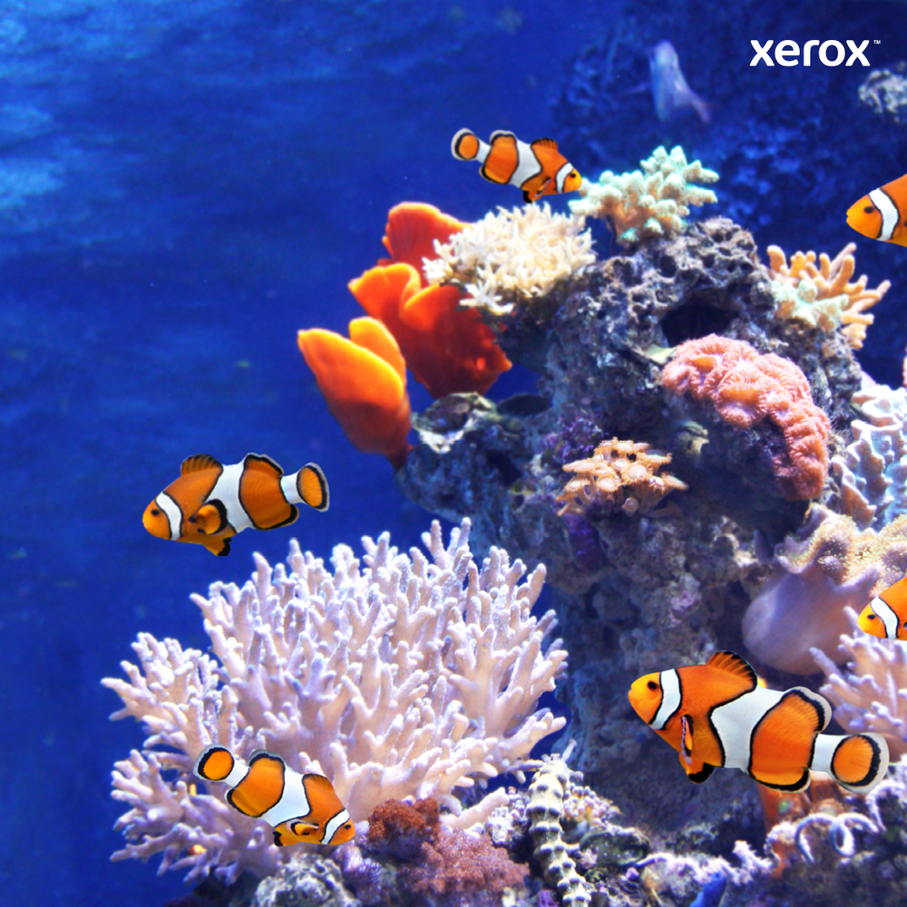 aHR0cHM6Ly9pbWFnZXMuaWNlY2F0LmJpei9pbWcvYnVsbGV0cy8zNTgxMTQzMy02MzYxM2FiYTZlMTMyOTA3NTk5MjEzLmpwZw%3D%3D