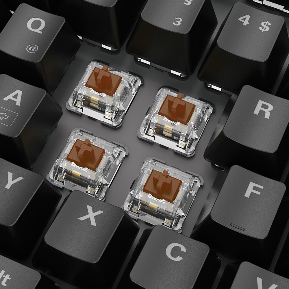 Sharkoon Skiller Mech SGK20 BROWN - TL: Deutsch, QWERTZ, Ansicht 3