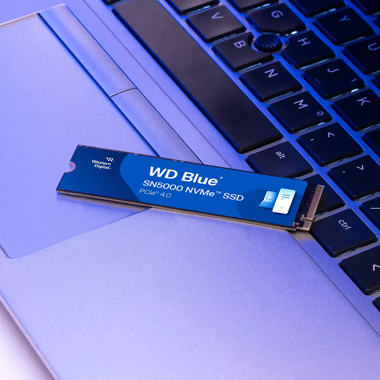 WD Blue SN5000 WDS500G4B0E - SSD - 500 GB - intern - M.2 2280 - PCIe 4.0 x4 (NVMe), Ansicht 2