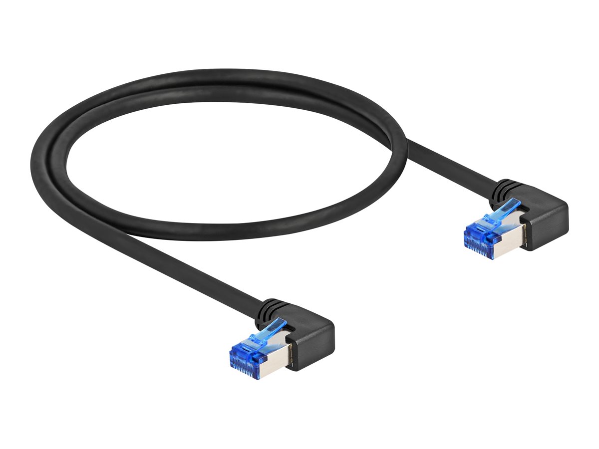 Delock Netzwerkkabel - RJ-45 (M) nach rechts abgewinkelt zu RJ-45 (M)
