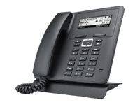 bintec elmeg IP620 - VoIP-Telefon - SIP - 4 Leitungen (5530000215)