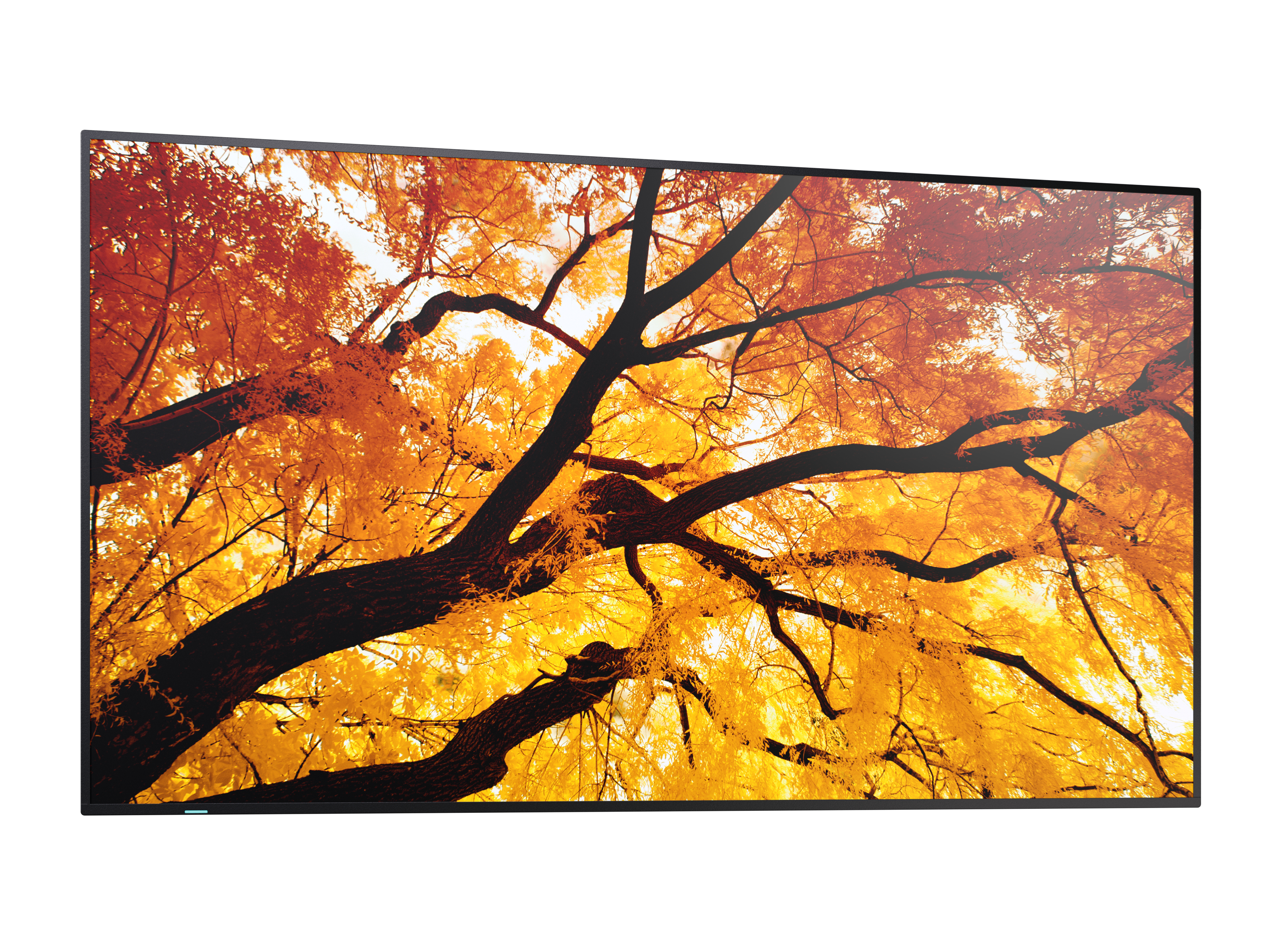 Sharp MultiSync PN-M982 - Interaktiver Flachbildschirm - 2,48 m (97.5) - LED - 3840 x 2160 Pixel - 24/7, Ansicht 2