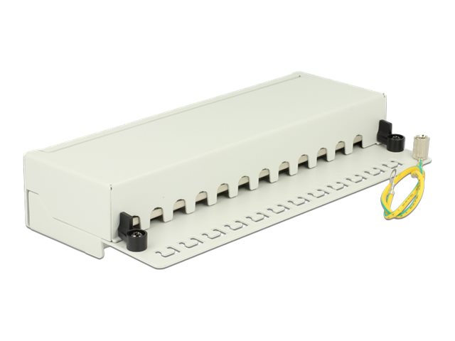 Delock Patch Panel - geeignet für Wandmontage