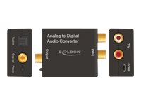 Delock Analog-Digital-Audiowandler - Schwarz